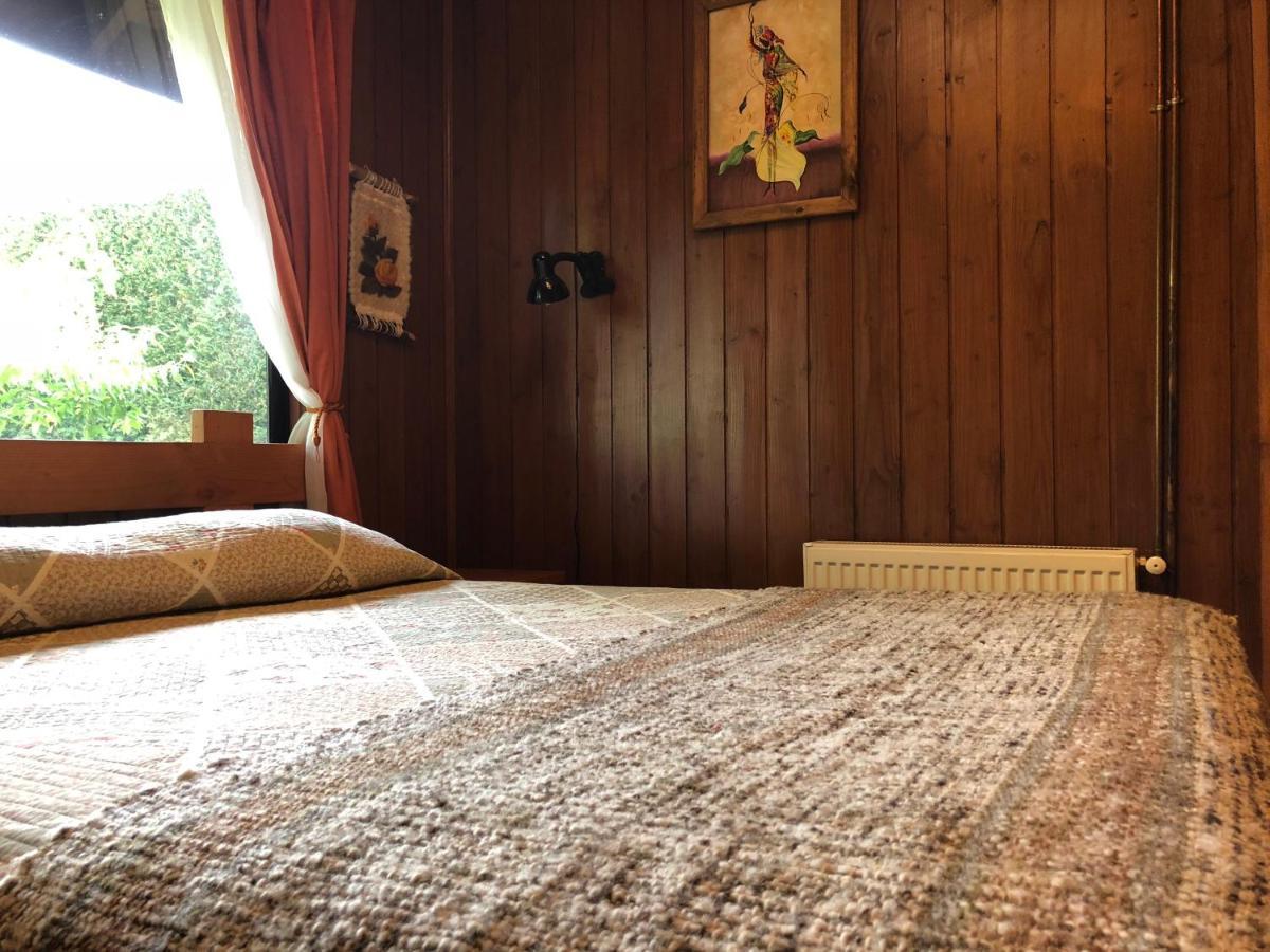 Hostal El Nogal Pucón Екстериор снимка