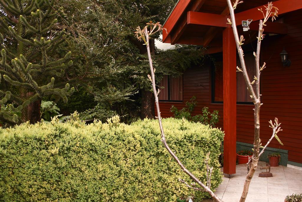 Hostal El Nogal Pucón Екстериор снимка